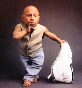 vernetroyer.jpg