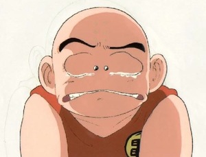 krillin2.jpg