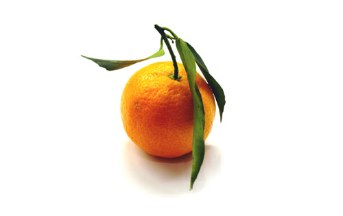 mandarin%20orange.jpg