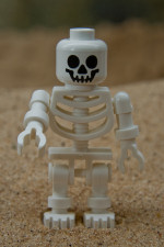 skeleton.jpg