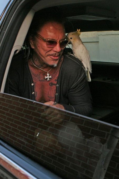 mickey-rourke-parrot-452x678.jpg