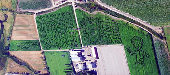 newmoon-cornmaze-doctor.jpg