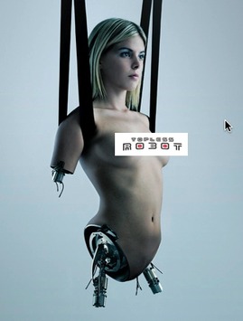 another topless robot.jpg