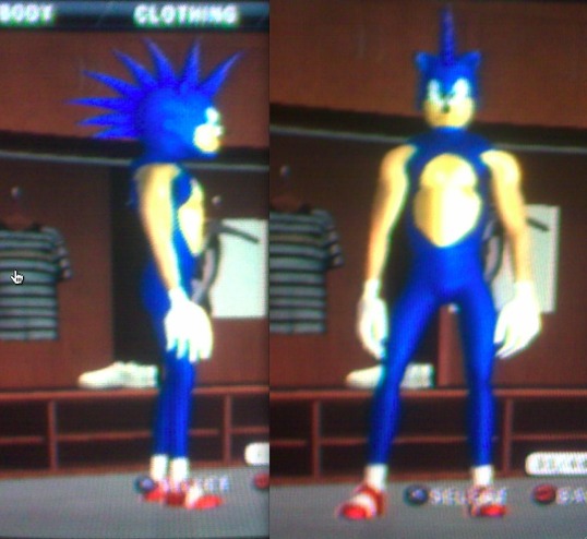 sonic caws.jpg