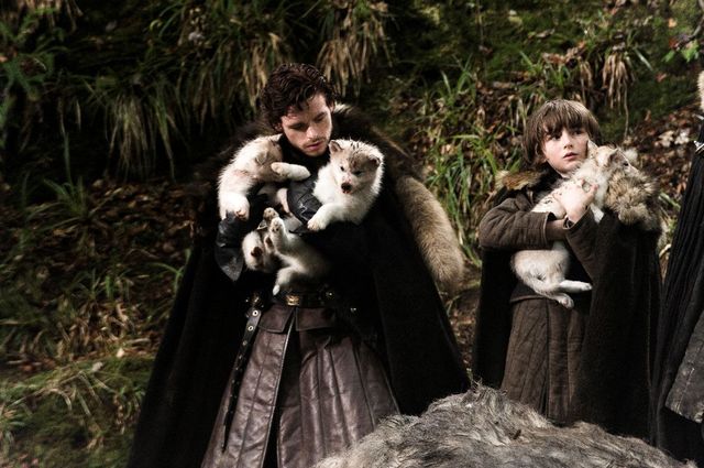 robb-bran-direwolves.jpg