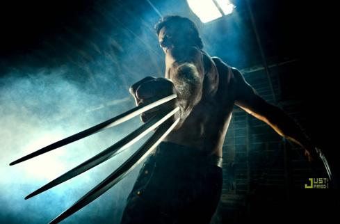a-wolverine-photo.jpg