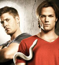 supernatural 6 new season