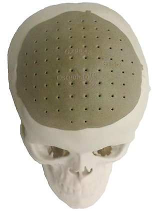 3d skull.jpg