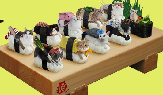 catsushi.jpg