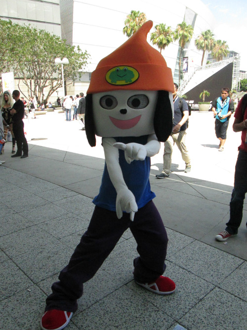 IMG_0295.JPG