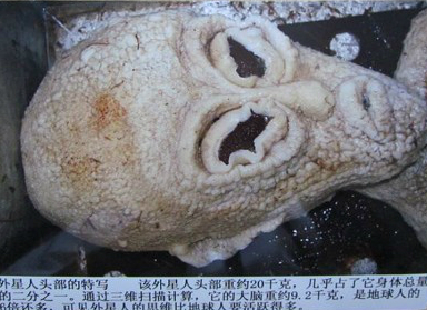 chinesealien.jpg
