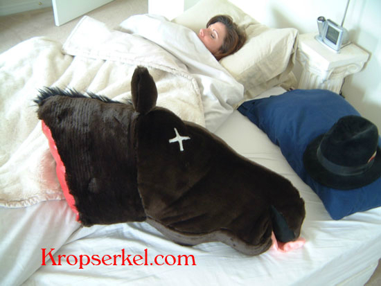 horseheadpillow.jpg