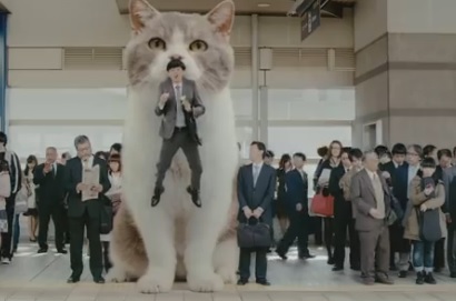 kittycatgum.jpg