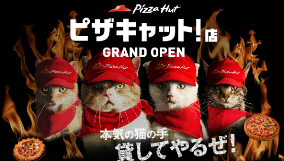 pizza_cat.jpg