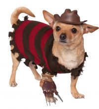 Rubies Freddy Krueger Dog Costume hi res