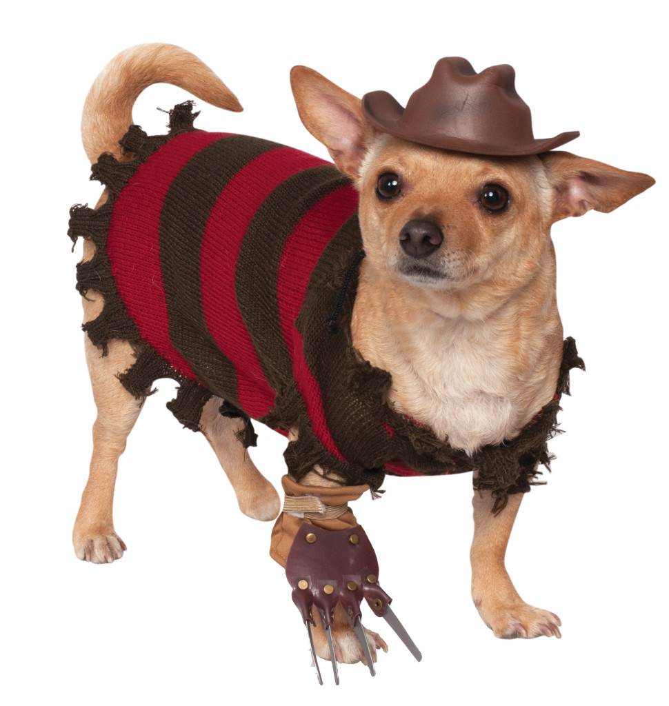 Rubies Freddy Krueger Dog Costume hi res