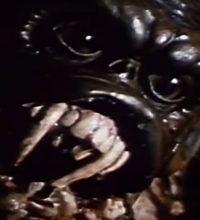 nightbeast