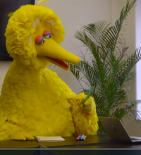 bigbirdfod