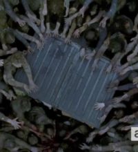 twd is a dumpster fire e1448457219154